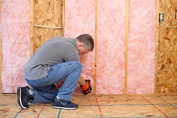 Best Best Insulation Companies  in Lakes East, CT