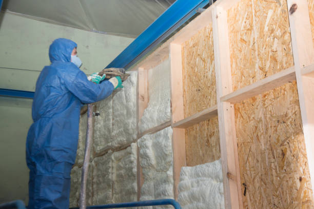 Best Garage Insulation Installation  in Lakes East, CT